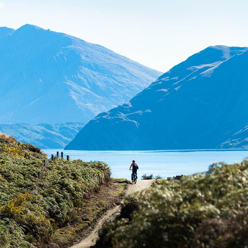 Cycle & Cruise Australia & New Zealand