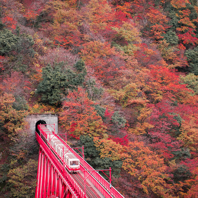 Rail Journeys of Japan