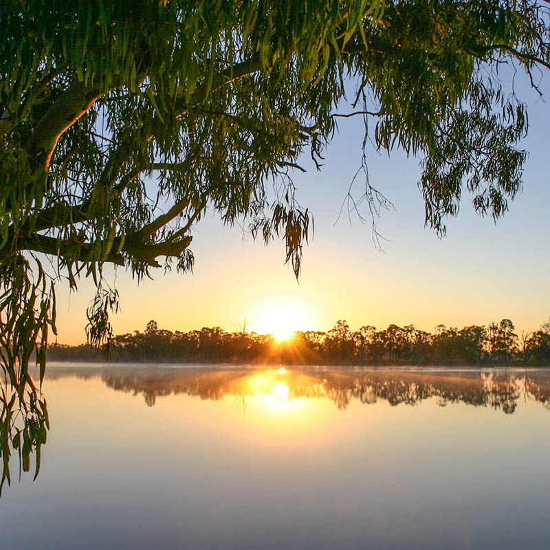 Murray River Music Cruise with John Howie