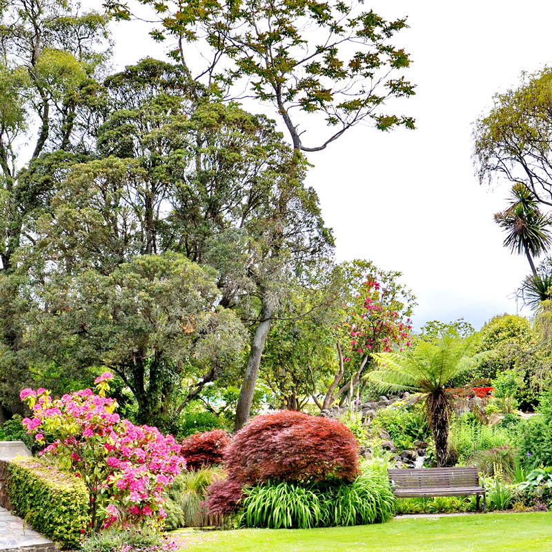 Garden Cruise to New Zealand with Deryn Thorpe