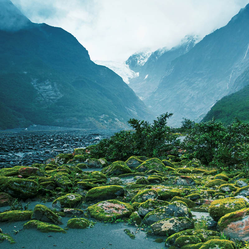 Rail & Coach Exploration of New Zealand