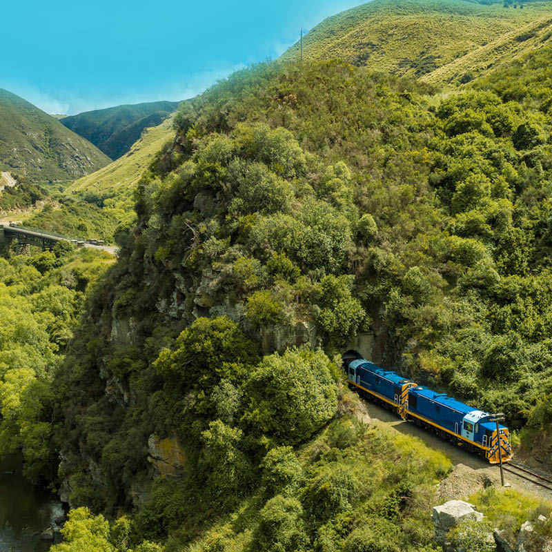 Rail & Coach Exploration of New Zealand