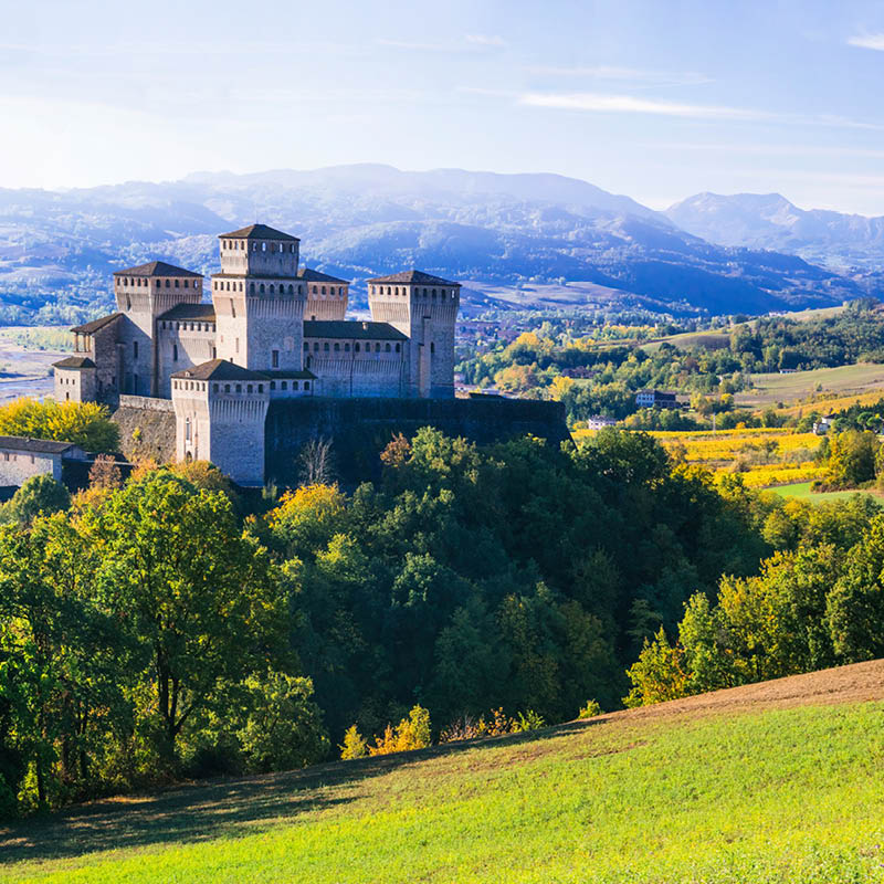 Wine Tour of Italy with Scott McWilliam