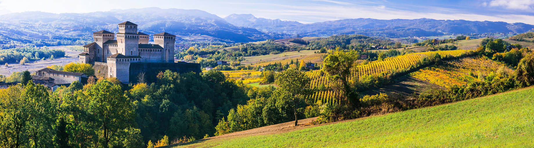 Wine Tour of Italy with Scott McWilliam